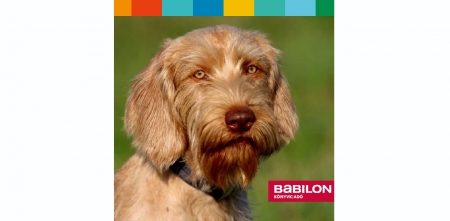 Borítókép: Gyere, találkozz Kabossal, a tűzvizsgáló kutyával, és ismerkedj meg a tűzoltók munkájával!