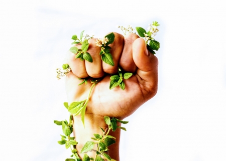 Borítókép: „A Föld az, ami közös bennünk” – avagy 12 klasszikus zöld idézet 