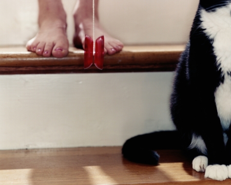 Borítókép: Le a jojóval! 13 tipp, hogy ne jöjjenek vissza a kilók