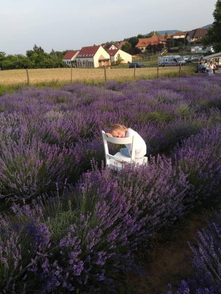 Borítókép: Levendulamező Budapest határában, avagy ahol az Instagram-őrültek fotózkodnak