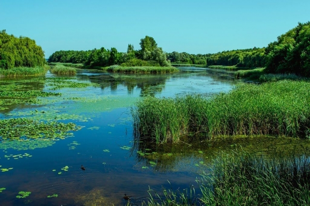 kis-balaton