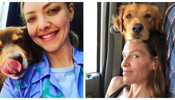 Borítókép: 10 sztár, aki menhelykutyát fogadott örökbe