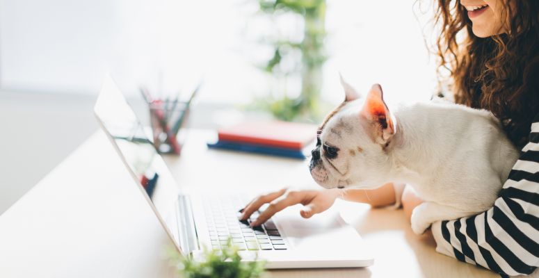 laptop,számítógép,rend,szelektálás