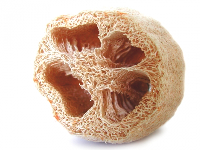 luffa,luffa szivacs,bőrradír,hámlasztás