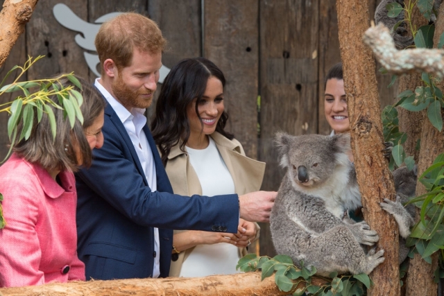 meghan markle,meghan hercegné,terhes