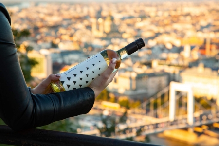 Borítókép: 8 egészségügyi probléma, amire gyógyír a bor