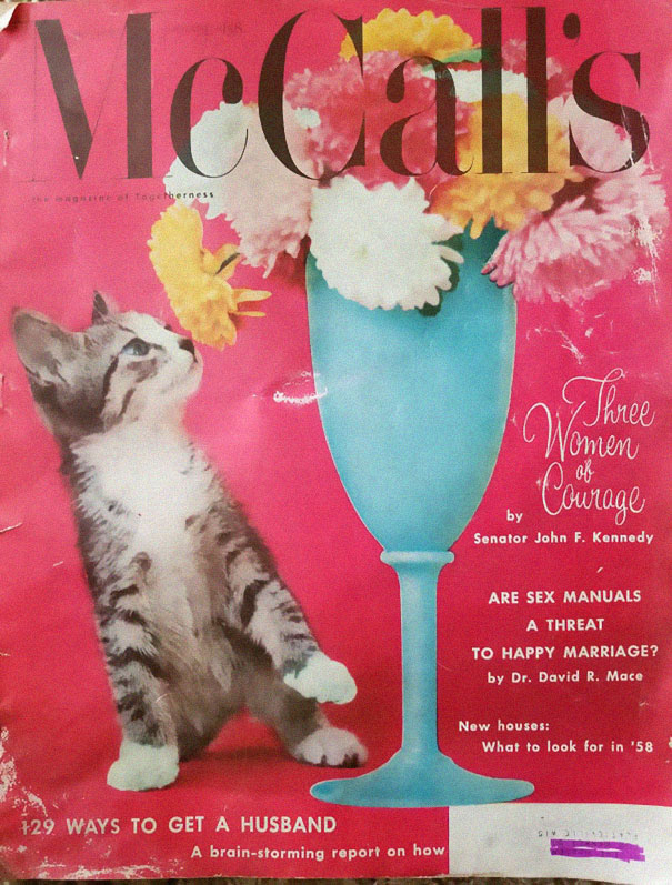 McCallisz magazin,boredpanda,férjfogás,tippek,feleségek