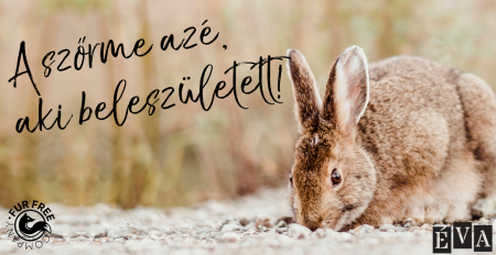 nofur,cruelty free,állatkísérlet mentes,állati szőr