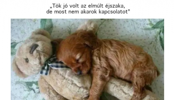 Borítókép: Röhögtél ma már? 28 „ez is csak velem történhet meg” mém