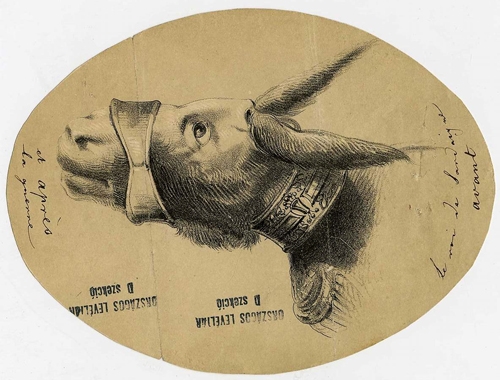 Borítókép: Széchenyi világai