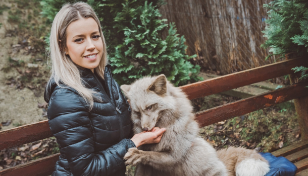 Kép