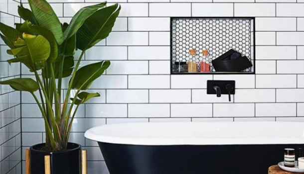 növények,fürdőszoba