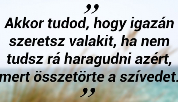 Kép
