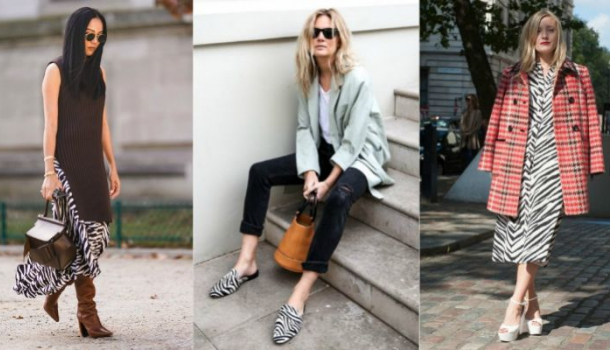 zebraminta,állatminta