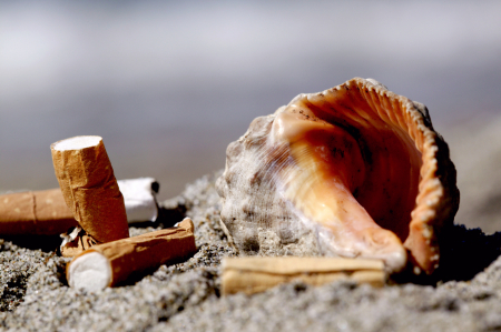 Borítókép: A cigarettacsikk az első számú hulladékforrás az óceánokban