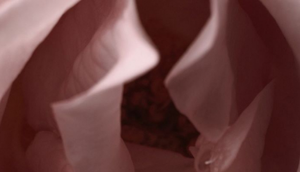 Borítókép: Ha 100 vagina sem elég, akkor semmi