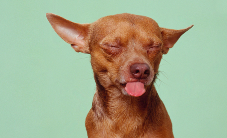 Borítókép: Ezeket az élelmiszereket kerüld, ha gyógyszert szedsz!