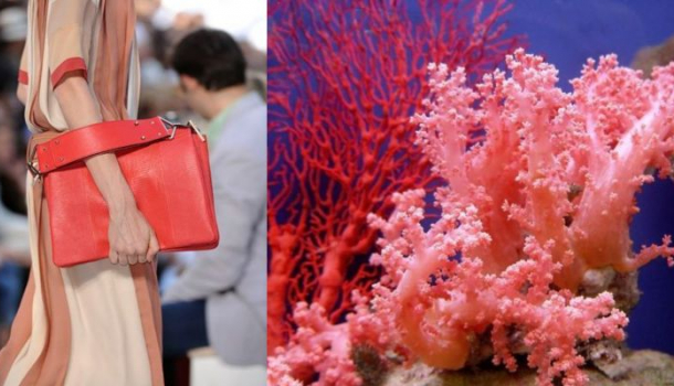 Borítókép: Optimista és energetizáló színre vágysz? Válaszd a korallt!