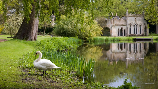 Frogmore,Windsor,Anglia,park,tó,hattyú