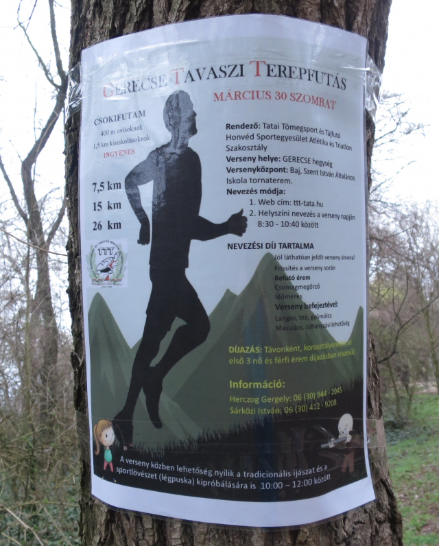 terepfutás,edzőverseny,Gerecse,tempófutás