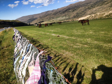 Borítókép: Jé, itt egy kerítés tele melltartóval - galéria