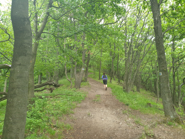 uth,ultra trail hungary,terepfutás,terepultra futás