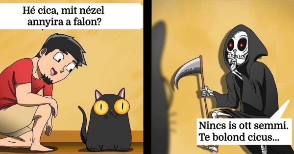 Kép