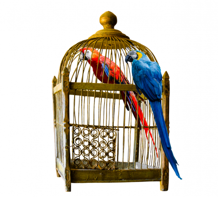 Borítókép: Jelek, hogy érzelmi bántalmazás áldozata vagy