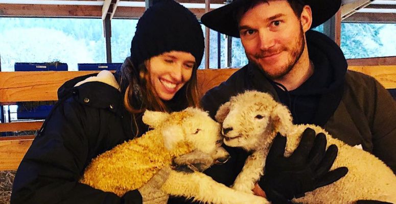 Chris Pratt,Katherine Schwarzenegger,házasság,összeházasodott