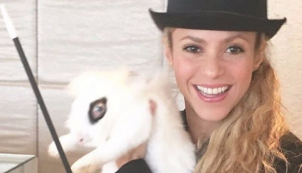 Borítókép: Shakira unta a bikini-választékot, hát tervezett magának egyet