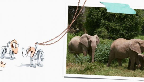 Borítókép: Fair trade arany és gyémánt? Igen, a Tiffany már környezettudatos