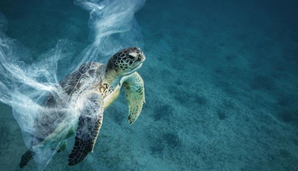 Borítókép: Csökkentsd, mielőtt megfulladsz benne!