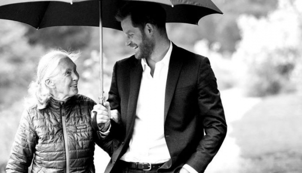 Borítókép: Fontos döntését osztotta meg a világgal Harry herceg