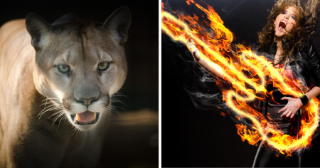 Borítókép: Metallicával ijesztett el egy pumát a lány, de nem is ez a slusszpoén