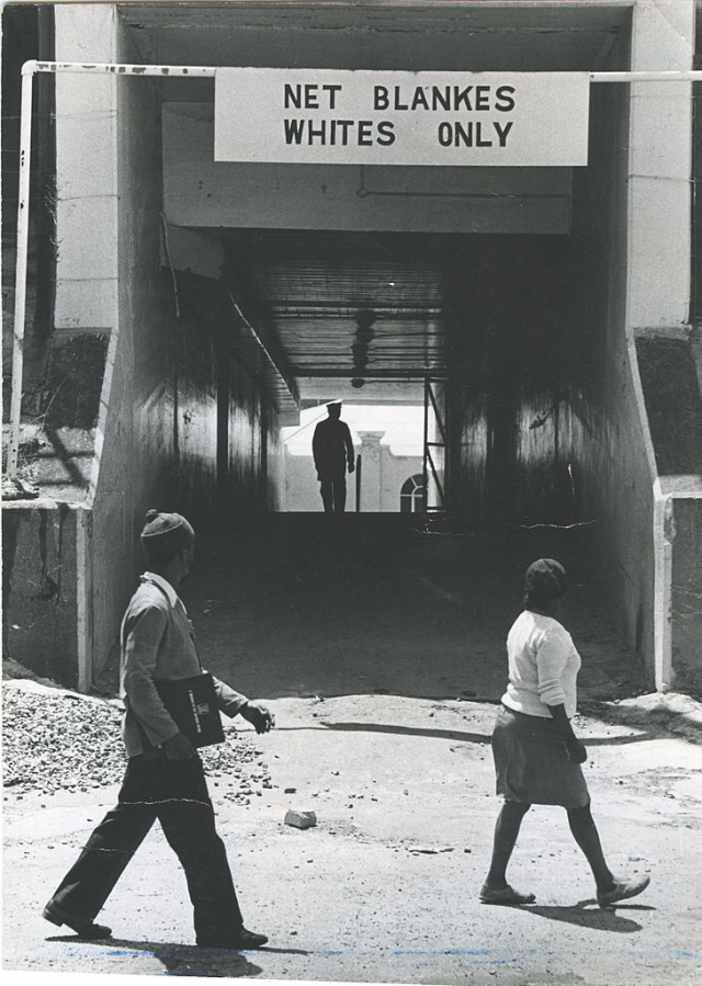 apartheid,1977