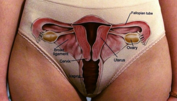 Borítókép: Milyen a jó nőgyógyász?