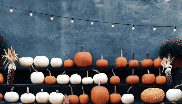 Borítókép: Mindenki halloweenfát akar már augusztusban