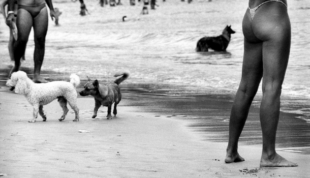 Borítókép: A fényképészet Woody Allenje: Elliott Erwitt titokban készült fotói pucér nyaralókról