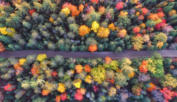 Borítókép: Itt az ősz, új illatot akarok!