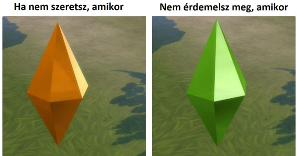 Kép