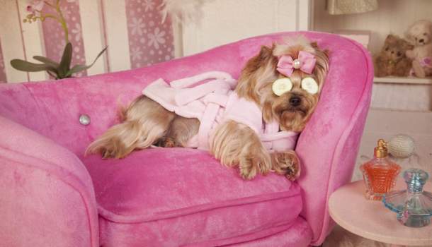 Borítókép: Ezek a döbbenetesen vicces sminkbakik veled is megtörténhetnek