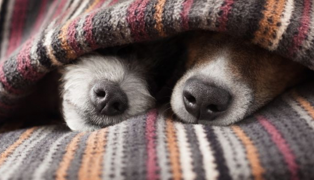 Borítókép: Szerelmes őszi esték...Otthon!