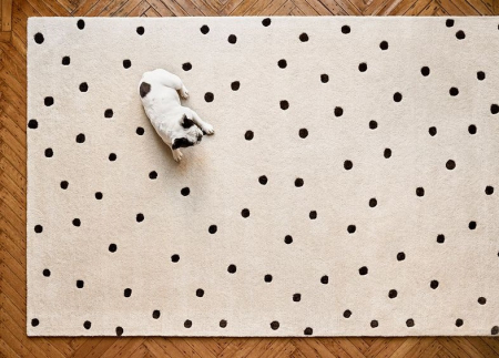 kutya,kutyapiszok,folttisztítás