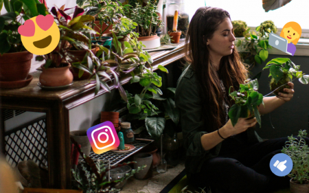 szobanövény,mánia,insta