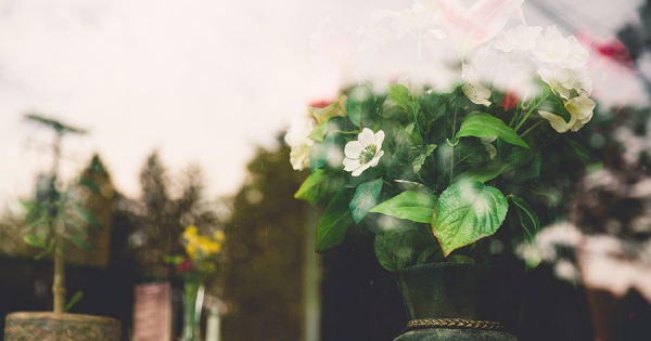 Borítókép: Megéri kipróbálni – fólia csomag otthonszépítéshez