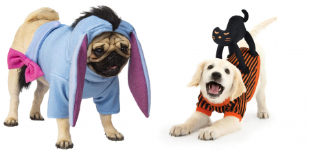 kutya,jelmez,halloween