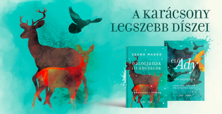 Borítókép: Ady Endre, a szerető, akire nem vonatkoztak a szabályok