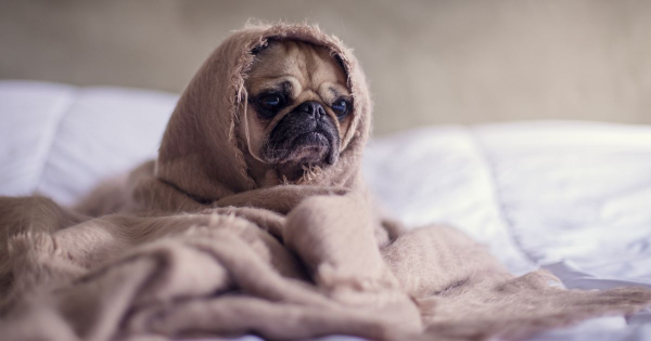 Borítókép: Naaaaagy levegő! Stresszüző légzéstechnikák
