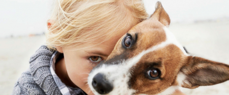 gyerek,kölyök,házi kedvenc,kutya,macska