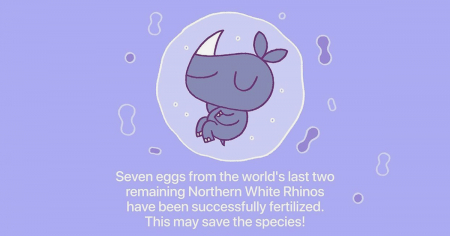 Borítókép: Szorongáskeltő rossz hírek helyett a jókat mutatják meg ezek a grafikák